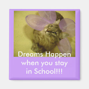 kluismagneet magneet