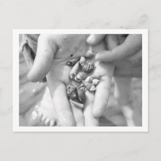 Kluizenkrabben Briefkaart