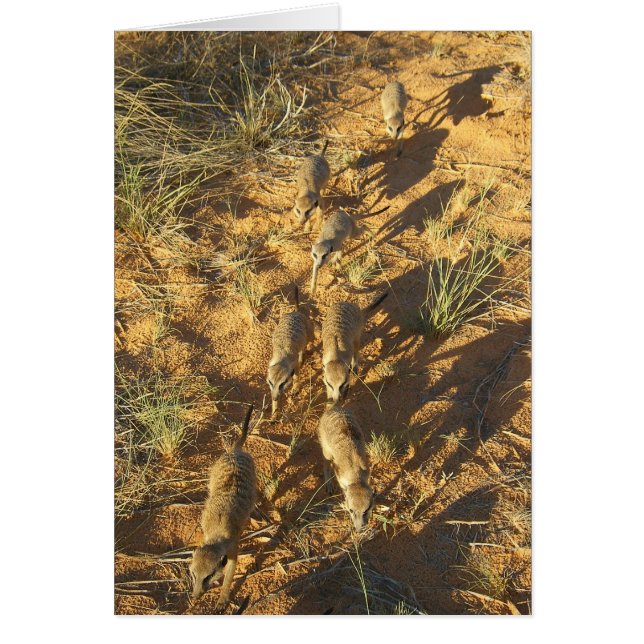 KMP-kaart 10 - bijenhouderij (Voorkant)