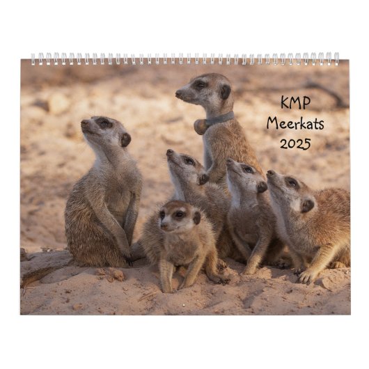 KMP Meerkat 2025 Kalender (Hoes)