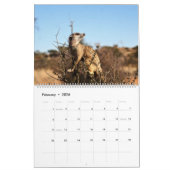 KMP Meerkats - 2020 Kalender (Feb 2026)