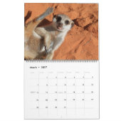 KMP Meerkats 2021 Kalender (Mar 2027)
