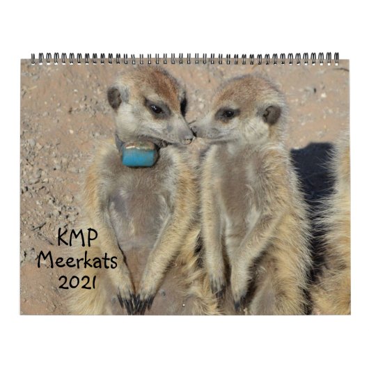 KMP Meerkats 2021 Kalender (Hoes)