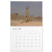 KMP Meerkats 2025 Kalender (Jan 2026)