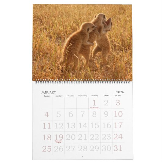 KMP Meerkats - Agenda 2009 Kalender (Jan 2026)