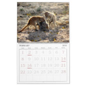 KMP Meerkats - Agenda 2016 Kalender (Feb 2026)