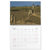 KMP Meerkats - calendrier 2009 (Mar 2027)