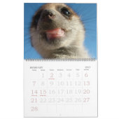 KMP Meerkats - calendrier 2009 (Feb 2027)