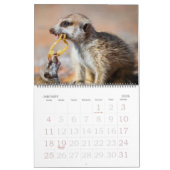 KMP Meerkats - calendrier 2014 (Jan 2026)