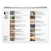 KMP Meerkats - calendrier 2014 (Dos)