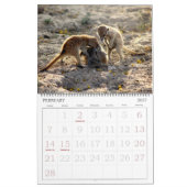 KMP Meerkats - calendrier 2016 (Feb 2027)