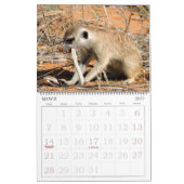 KMP Meerkats - calendrier 2016 (Mar 2027)