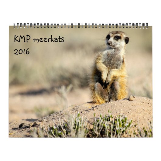 KMP Meerkats - calendrier 2016 (Protection)