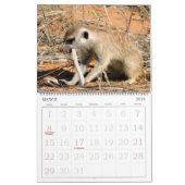 KMP Meerkats - calendrier 2016 (Mar 2026)