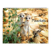 KMP Meerkats - calendrier 2018 (Protection)