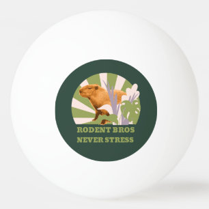 Knaagdier Broers Nooit Stress Capybara Pingpongballen