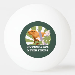 Knaagdier Broers Nooit Stress Capybara Pingpongballen