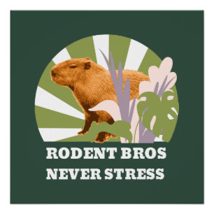 Knaagdier Broers Nooit Stress Grappige Capybara Perfect Poster