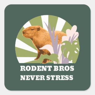 Knaagdier Broers Nooit Stress Grappige Capybara Vierkante Sticker