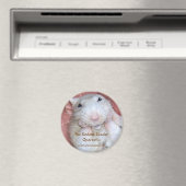 Knaagdierlezermagneet 1 magneet (Insitu (Vaatwasser))