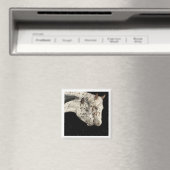Knabstrupper Colts Magnet Magneet (Insitu (Vaatwasser))