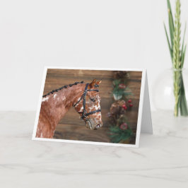 Knabstrupper Stallion Horse Kerstfeestdag Kaart