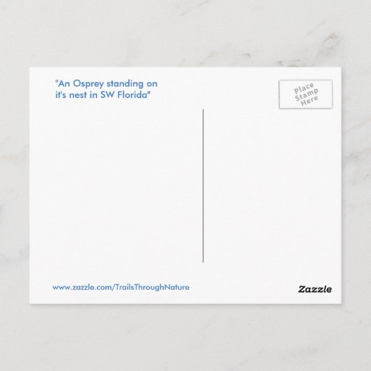 Knap Osprey Hawk Nest Briefkaart (Achterkant)