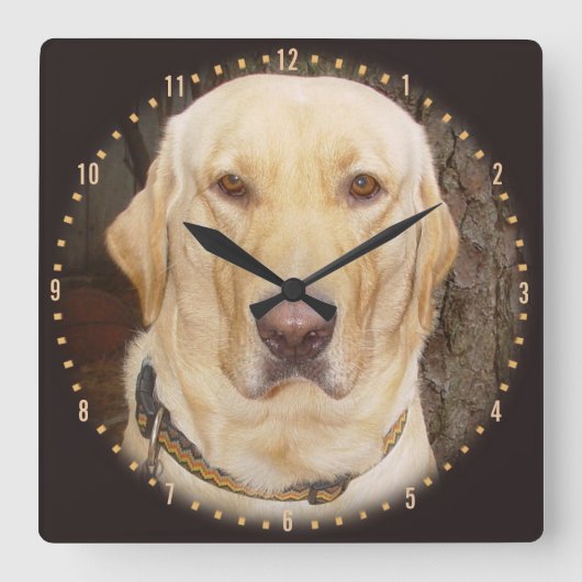 Knappe Gele Lab Rond Klok (Voorkant)