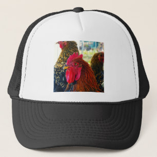 Knappe Haan Trucker Pet