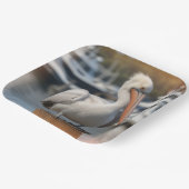 knappe pelikaan papieren bordje (Gebogen)