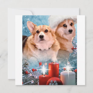 Knappe Pembroke Welsh Corgis Kerstkaart