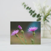 Knapweed, Michigan Briefkaart (Staand voorkant)