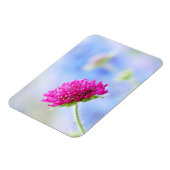 Knautia Macedonica Magnet Magneet (Linkerzijde)