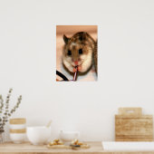 Knaw Poster (Keuken)