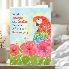 Knee Surgery Healing with Scarlet Macaws, Hibiscus Kaart