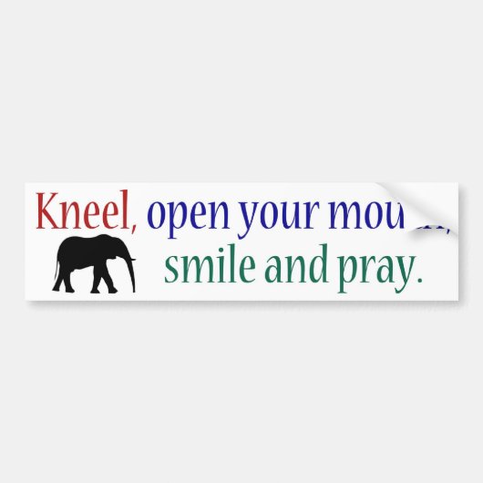 Kneel WFE Color Bumpersticker (Voorkant)