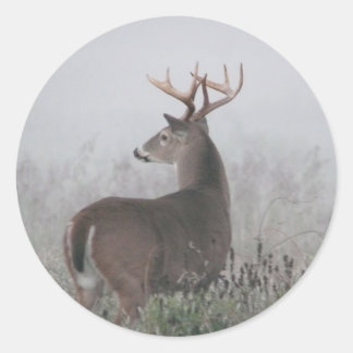 kneuzer ronde sticker