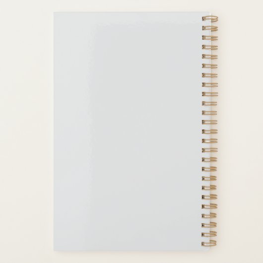 Knight Owl in Shining Armor (Dos)