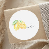 Knijp citroen citrus zomer Baby eerste verjaardag Ronde Sticker