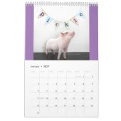 Knip de Varkenscalender Kalender (Jan 2027)