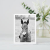 Knip het dier briefkaart (Staand voorkant)
