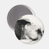 knipogen magneet (Voorkant / Achterkant)