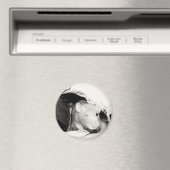 knipogen magneet (Insitu (Vaatwasser))