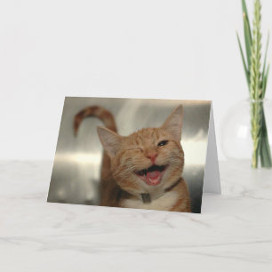 Knipogende Gelukkige Rode Kat Verjaardag Kaart