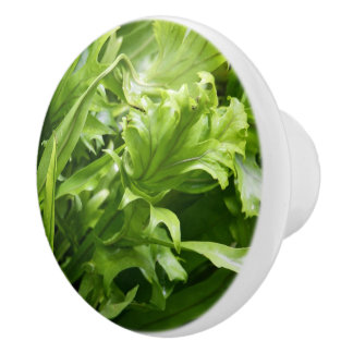 Knob - Fishtail Fern Keramische Knop