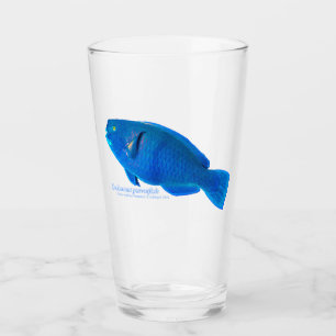 Knobbelsnuit papegaaivis Glas Cup