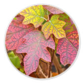 KNOBS/CUSTOM/LAYERS OF FALL LEAVES/PINK,YE KERAMISCHE KNOP (Voorkant)