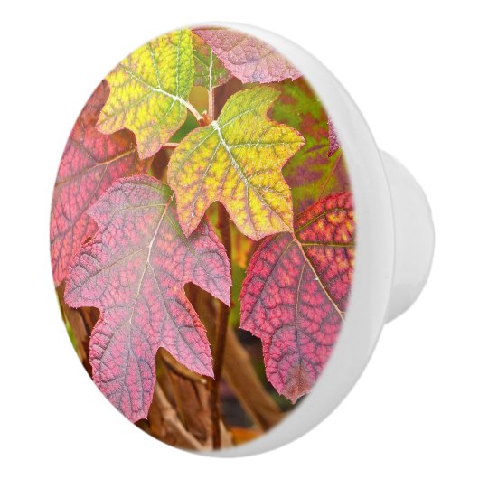 KNOBS/CUSTOM/LAYERS OF FALL LEAVES/PINK,YE KERAMISCHE KNOP (Rechts)
