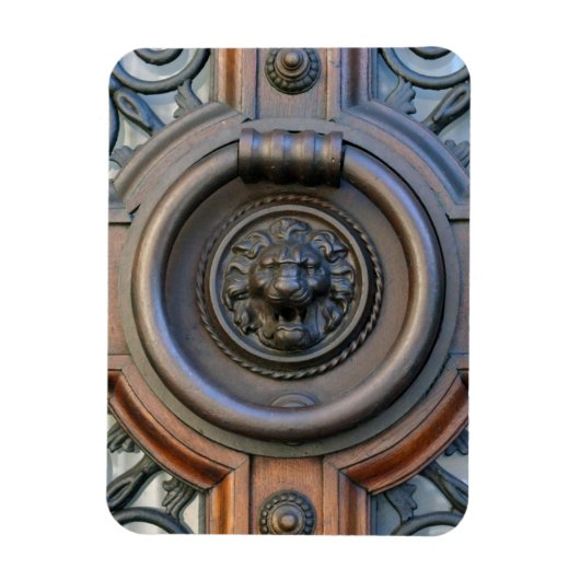 Knock Knock Lion Head - Barcelona - Magnet Magneet (Verticaal)