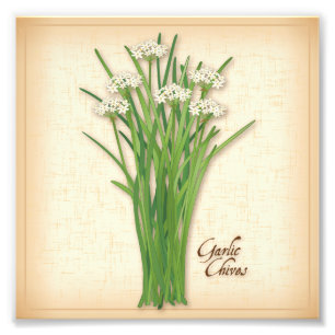 Knoflook Chives Herb Foto afdrukken Afdruk